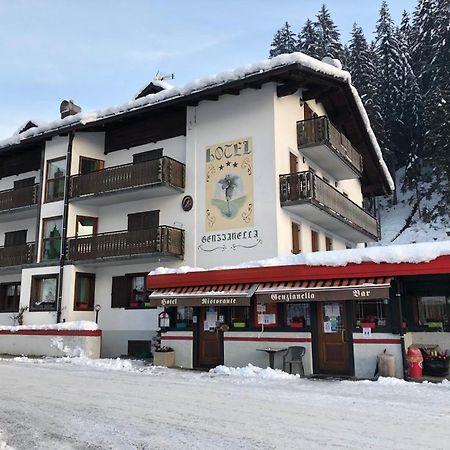 Hotel Genzianella Presenaio ภายนอก รูปภาพ